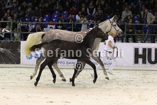 CA D ORO_MILANO_2010_SS3_3952.jpg